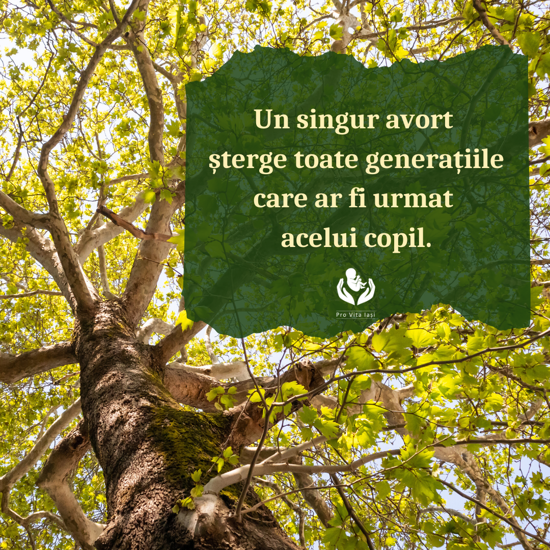 Nici o persoană nu este o greșeală!