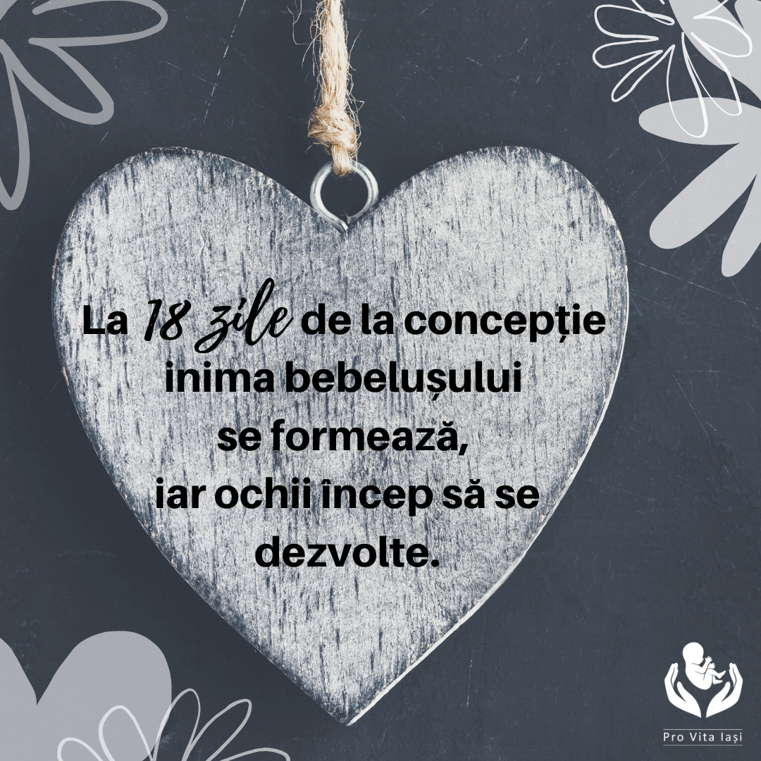 Nici o persoană nu este o greșeală!