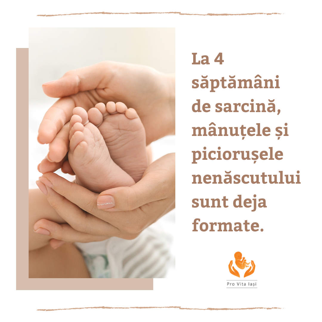 Nici o persoană nu este o greșeală!