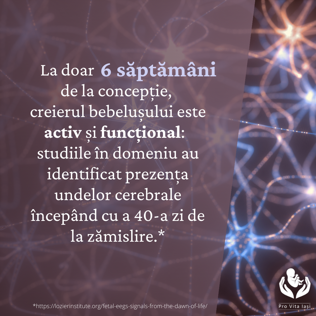 Nici o persoană nu este o greșeală!