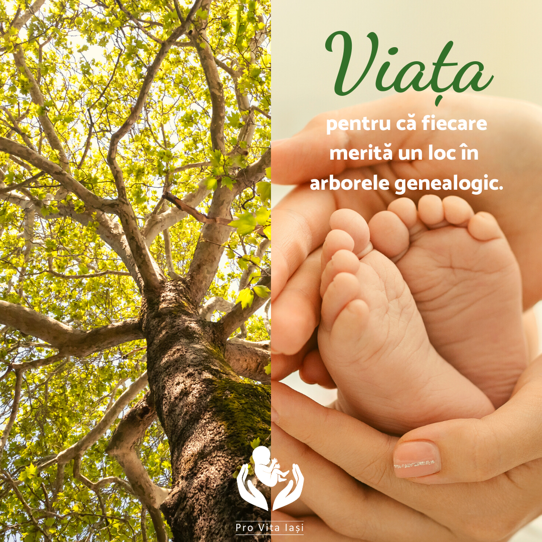 Zâmbește! Mama ta a ales viața!