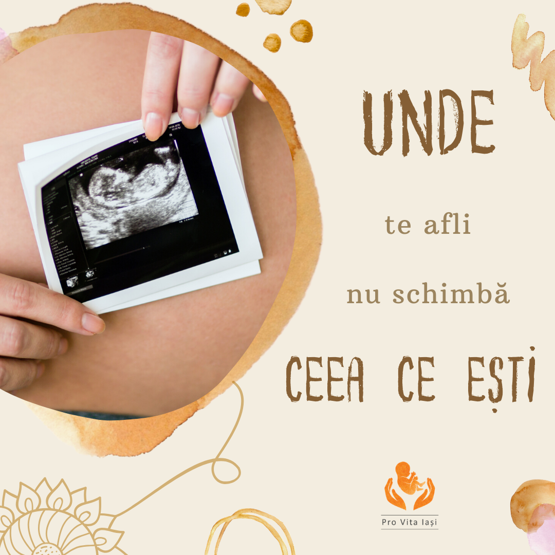 Viața poate proveni doar din viață!