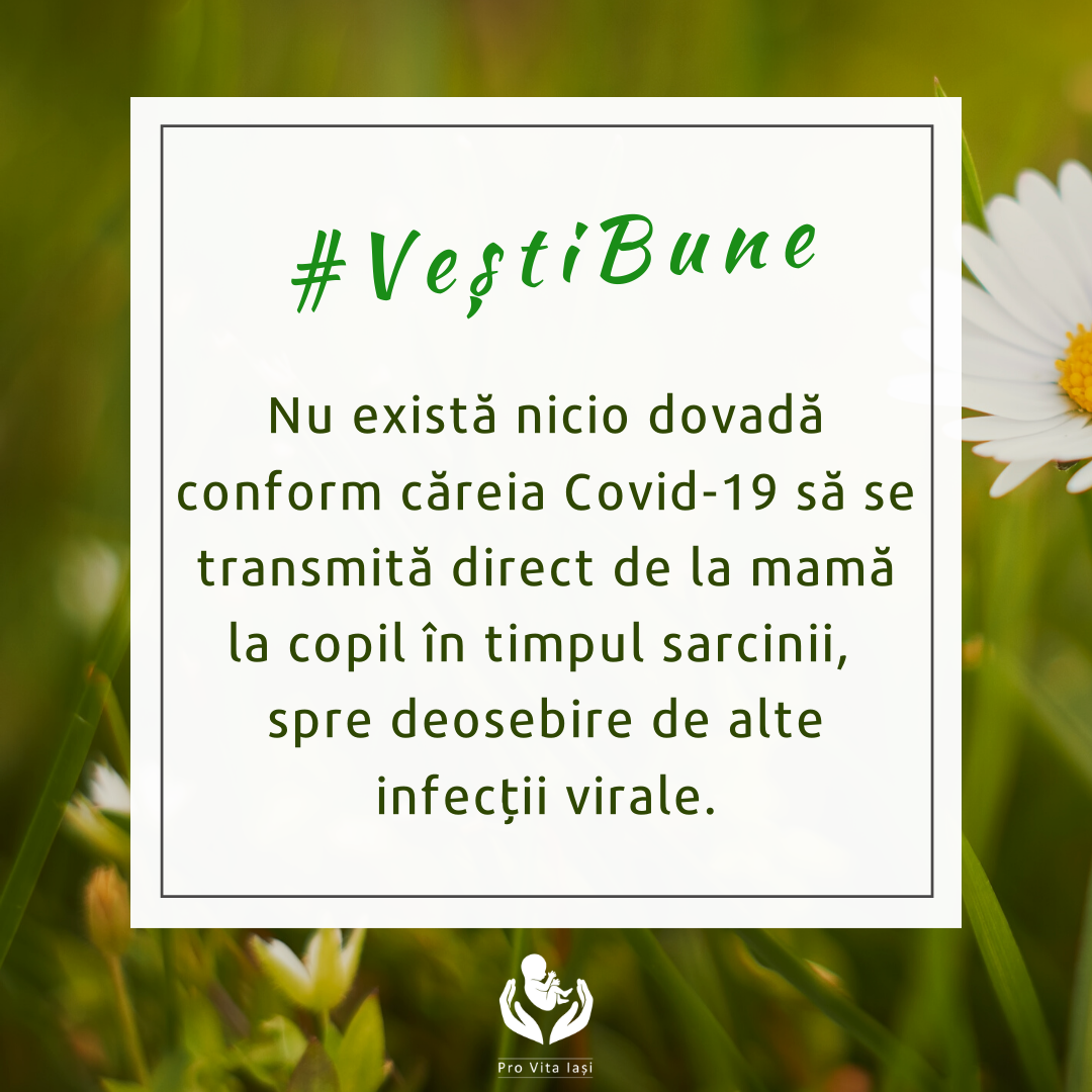 Viața poate proveni doar din viață!