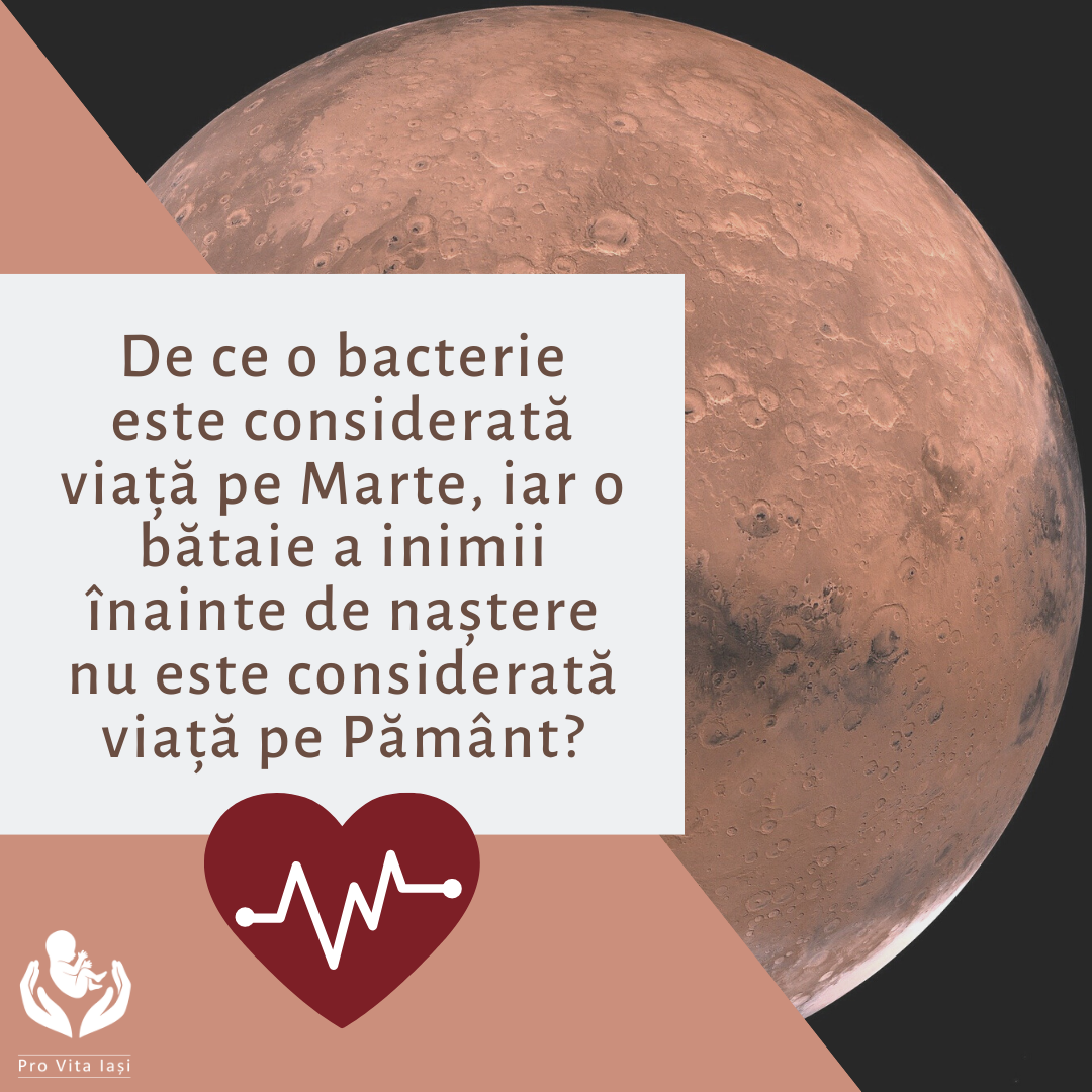 Viața poate proveni doar din viață!