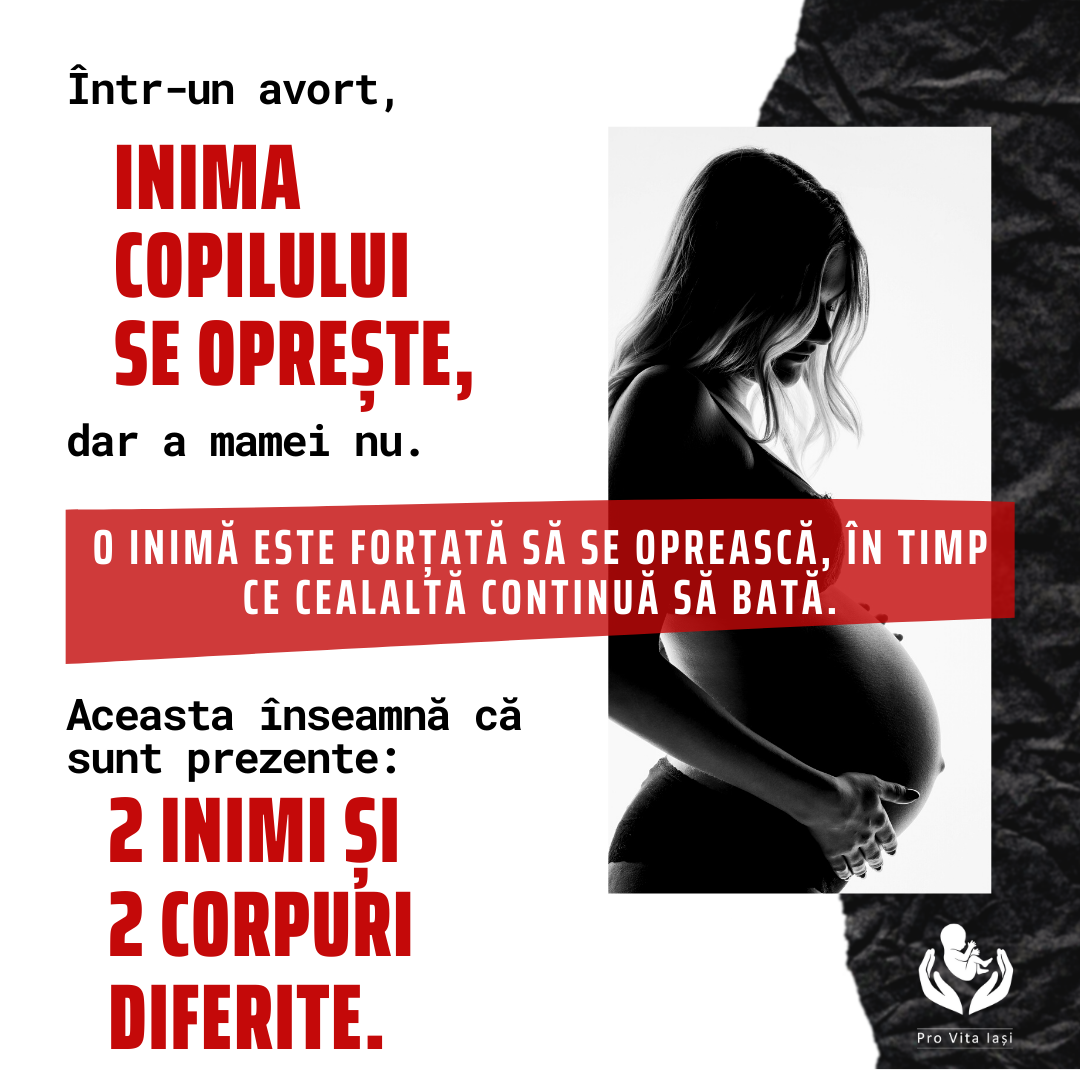 Viața poate proveni doar din viață!