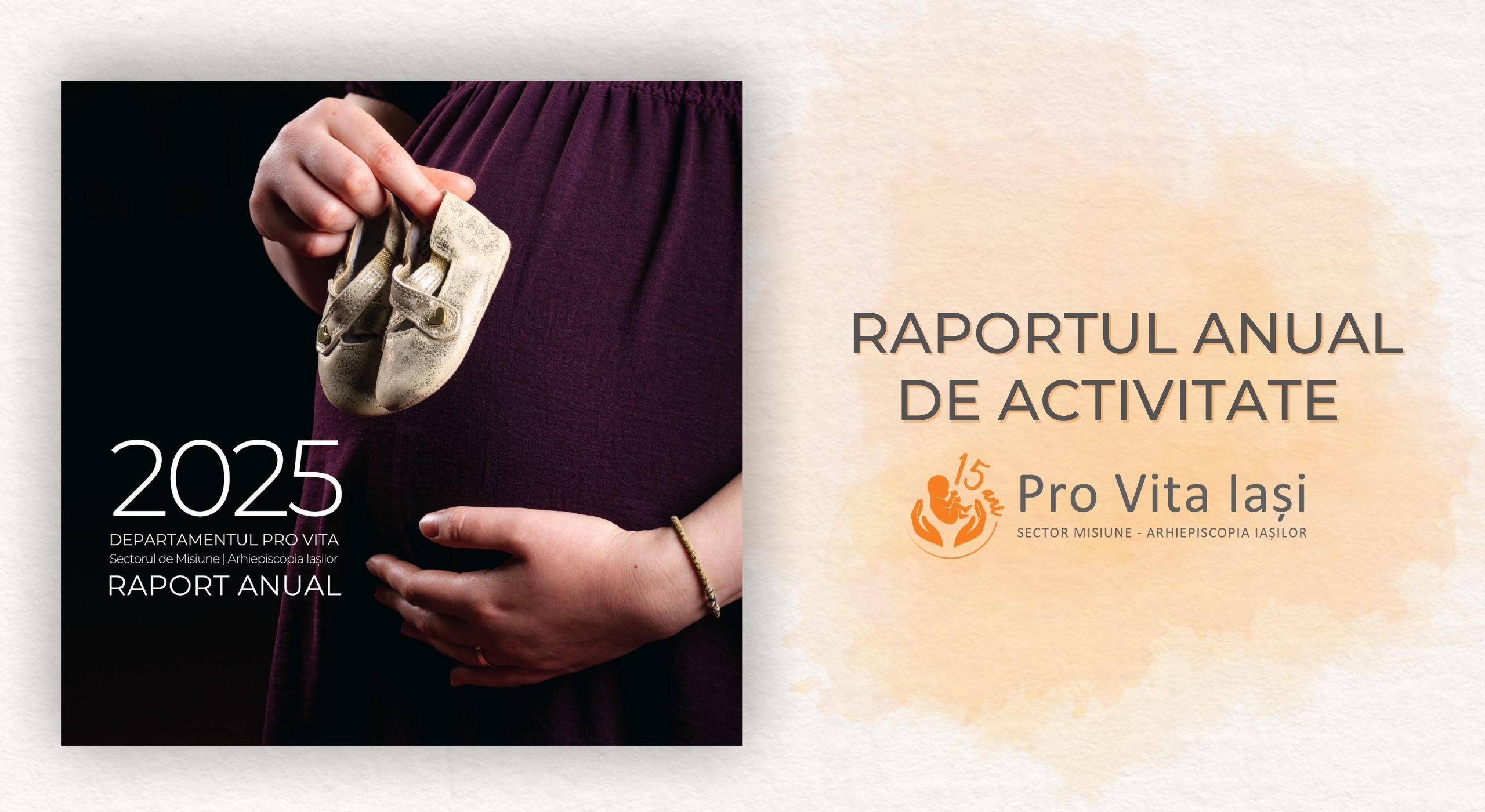 Raport de activitate Pro Vita Iași, anul 2024