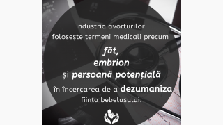 Nici o persoană nu este o greșeală!