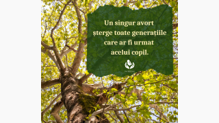 Nici o persoană nu este o greșeală!
