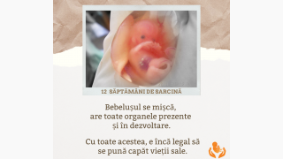 Nici o persoană nu este o greșeală!