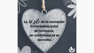 Nici o persoană nu este o greșeală!