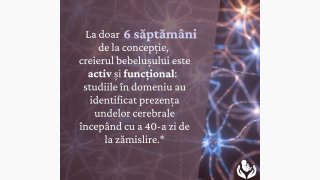 Nici o persoană nu este o greșeală!
