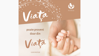 Viața poate proveni doar din viață!