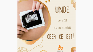 Viața poate proveni doar din viață!