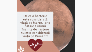Viața poate proveni doar din viață!