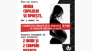 Viața poate proveni doar din viață!