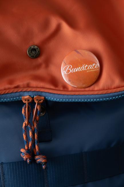 Insignă-2-Bunătate-1