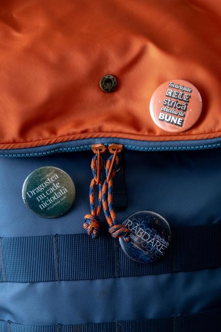 Insignă-15-Tovărășiile rele 2